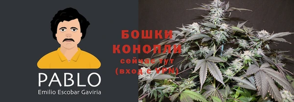 крисы Гусиноозёрск
