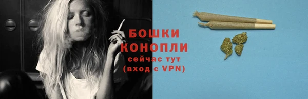 крисы Гусиноозёрск