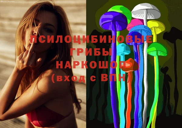 амфетамин Гусь-Хрустальный